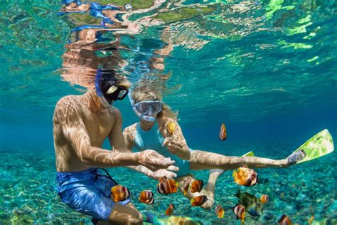 Best Spots for Snorkeling in Cancun | Blog Cancun Snorkeling