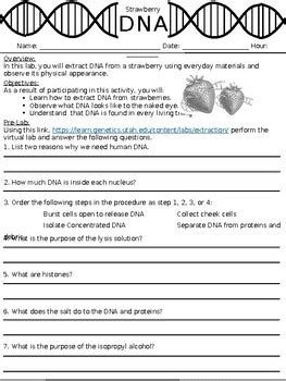 Strawberry DNA Extraction Lab Handout by Miss McKeag's Store | TPT