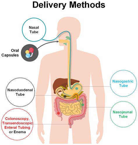 JCM | Free Full-Text | Fecal Microbiota Transplantation as New ...