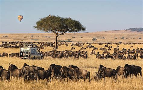 The Maasai Mara Game Reserves - Micato Safaris