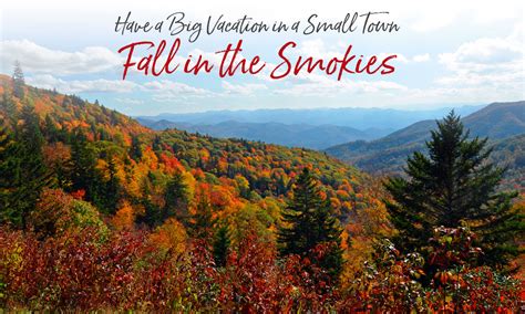 Fall Color Forecast for the Smoky Mountains near Bryson City NC