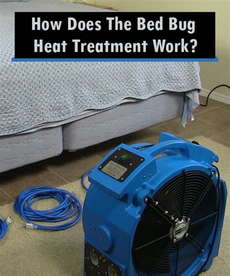 Do Bed Bug Heat Treatment Work?