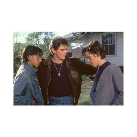 JOHNNY, DALLY, AND PONYBOY - The Outsiders Photo (5509501) - Fanpop ...