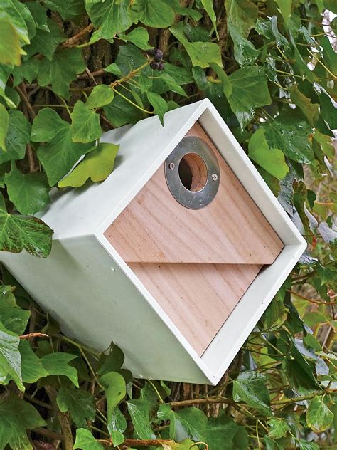 Chickadee Bird House Placement