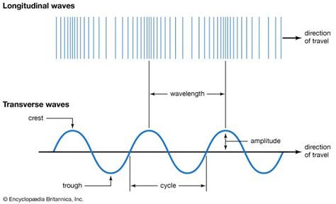 Characteristics Of Longitudinal And Transverse Waves Class 11 ...