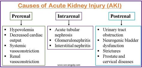 Acute Kidney Injury (AKI) - We Care