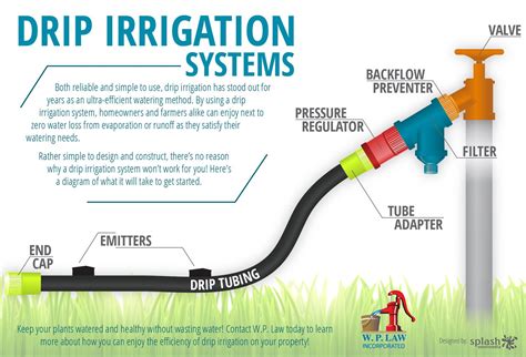 Example of Drip Irrigation System