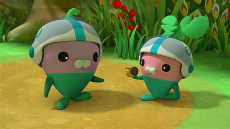 Octonauts and the Caves of Sac Actun (2020) WEB-DL 1080p HD ...