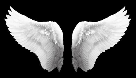 White Angel Wings - Free Stock Photo by Eric on Stockvault.net