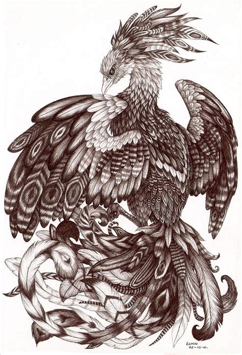 phoenix in ballpoint pen by Liedeke on DeviantArt