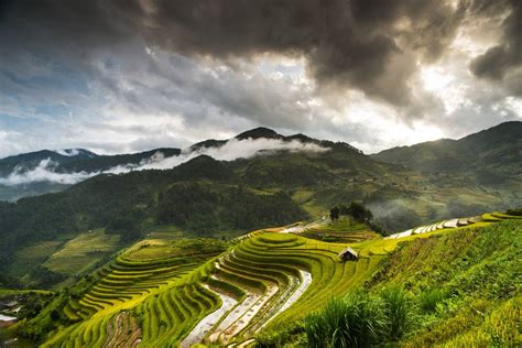 These Vietnamese Rice Terraces Might Be the Most Spectacular in the World