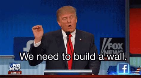 We Need To Build A Wall - Wall GIF - Wall Donald Trump Drumpf ...