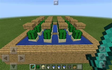 Tutorial: How to make a simple cactus farm!🌵 | Minecraft Amino