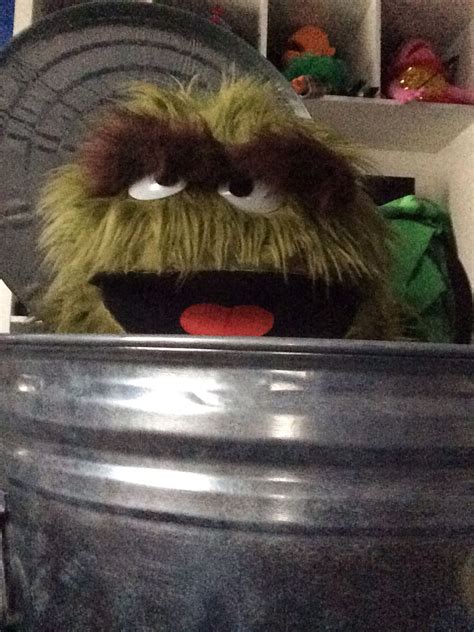 My Oscar the Grouch puppet replica in his humble abode. Lol (NOT FOR ...