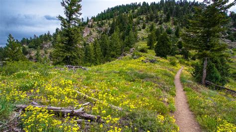 11 Best Hiking Trails in Boulder, Colorado