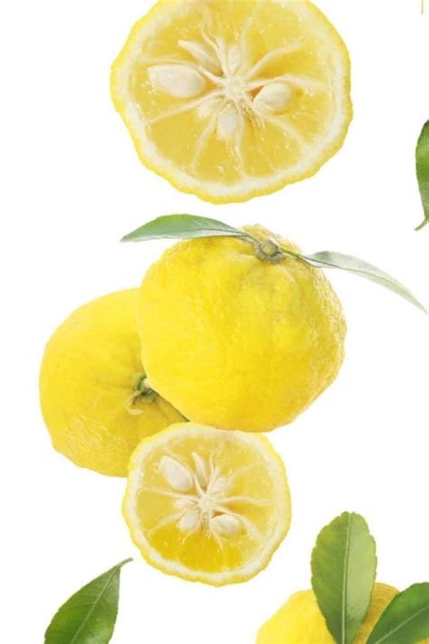 What Is Yuzu Fruit and How Does It Taste (Ultimate Guide) - Spatula ...