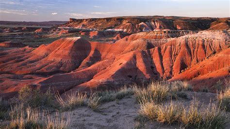 Petrified Forest National Park | Arizona Highways