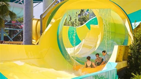 Water Park Near Busch Gardens Florida | Fasci Garden