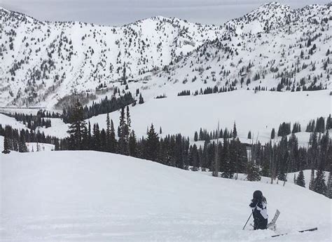 Alta Ski Area to the Max | Life Elevated Mom