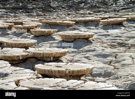 Salt Formations on Saltwater Lake, Dallol, Danakil Desert, Ethiopia ...