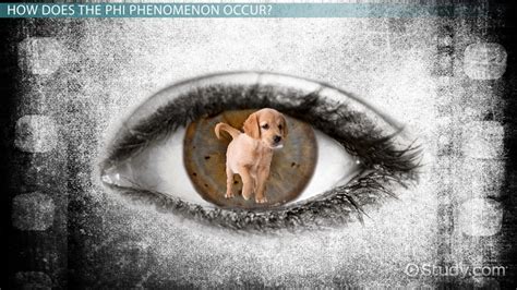 Phi Phenomenon | Definition & Examples - Lesson | Study.com