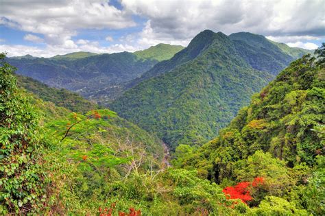 El Yunque National Forest in Puerto Rico - Explore a Lush Tropical ...