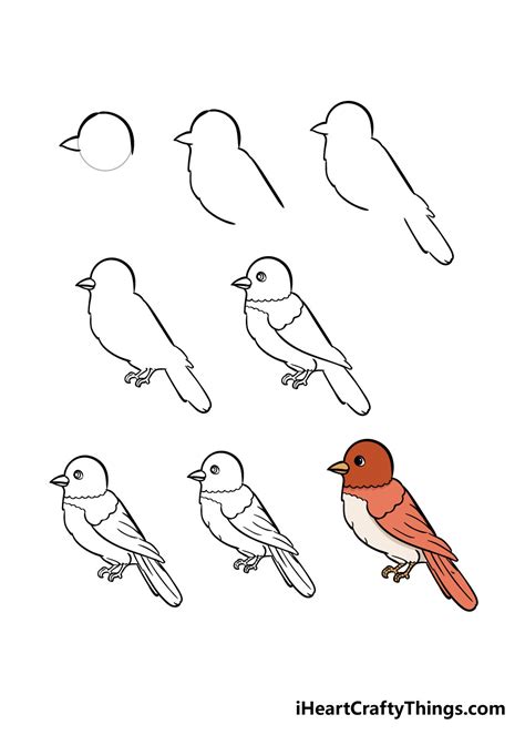 Easy Way to Draw a Bird Easy Drawings of Birds for Kids - Wilson Worning