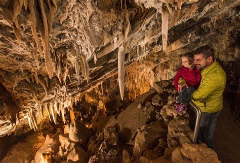 Caves and Coasters - Glenwood Caverns Adventure Park