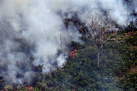 Kebakaran Hebat Landa Hutan Hujan Tropis Amazon