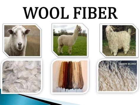 Properties and uses of Natural Fibre- Top 11 Natural Fiber