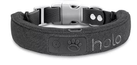 Best Dog Collars of 2023: Find the Best Fit & Style for Dogs