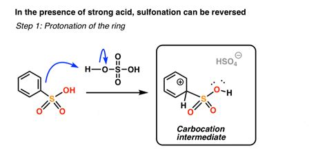 Nitration and Sulfonation Reactions In Electrophilic Aromatic Substitution