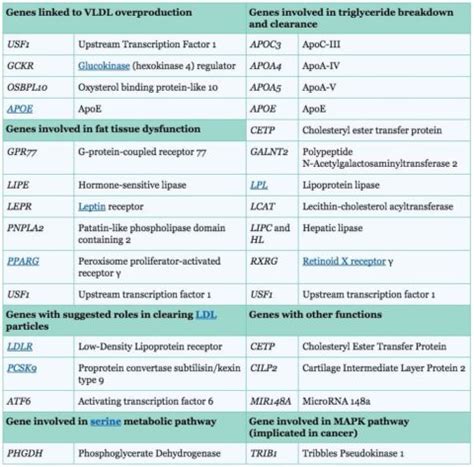 13 Causes of High Triglycerides + Normal Levels - SelfDecode Labs