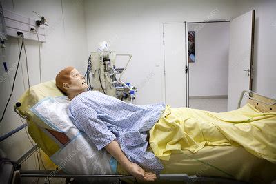 Manikin Simulation - Stock Image - C020/9429 - Science Photo Library