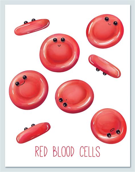 Items similar to Red Blood Cells / Wall art print / biology / cute ...