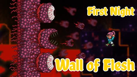 Terraria wall of flesh - brothersvica