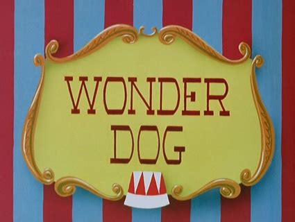 Pluto - Wonder Dog | B98.TV