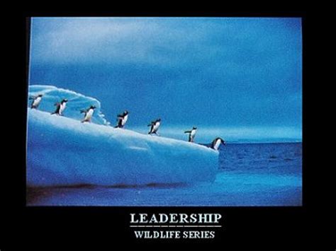 Leadership (In a Cheesy Poster) - Leadership 11