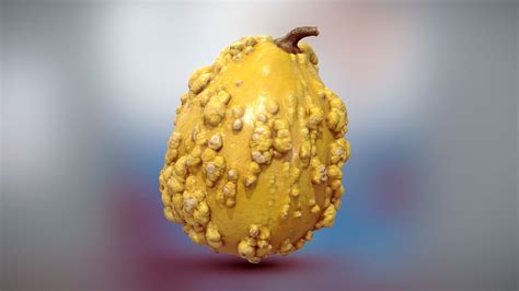 Decorative Squash / Gourd - Buy Royalty Free 3D model by SmallpolyArt ...