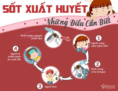 Bệnh Sốt xuất huyết là gì