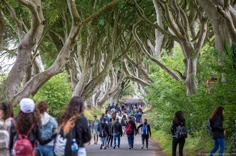 The Dark Hedges Game Of Thrones Filming Locations Ireland