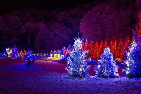 Christmas Lights Outdoor Canada 2023 New Perfect Most Popular Review of ...