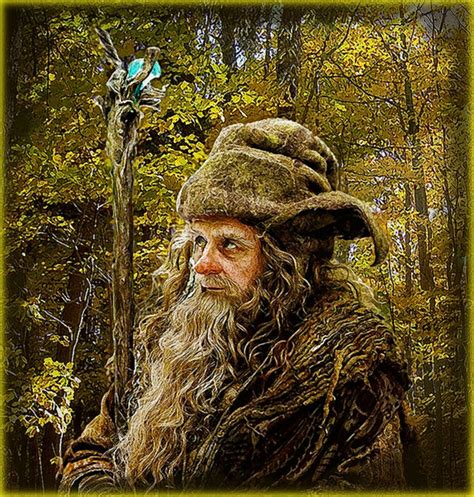 Radagast the Brown : Observation by Ysydora on DeviantArt