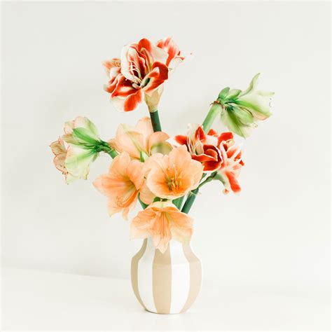 Tall Flower Arrangement | Native Poppy Shop