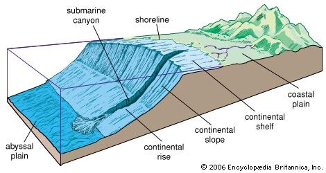 Abyssal Plain - Spectacular Science!!!