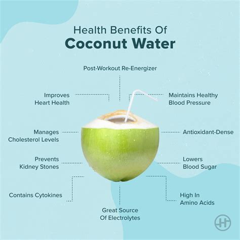 Coconut Water – Benefits, Nutritional Value & Precautions