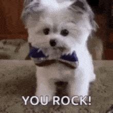 You Rock Gif - IceGif