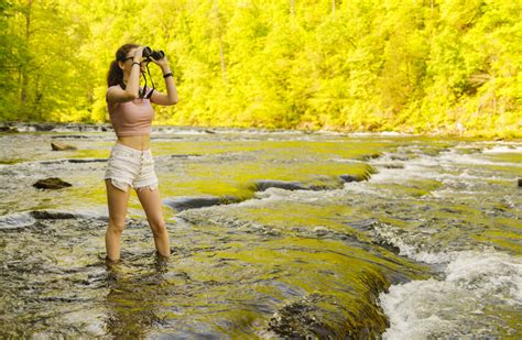 Guide to Fall Foliage in the Great Smoky Mountains - Travel Zone by ...