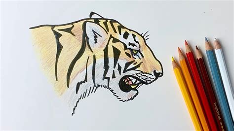 Roaring Tiger Drawing