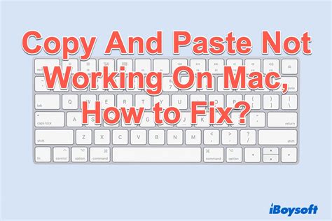 Copy And Paste Not Working On Mac, Get 7 Quick Solutions!